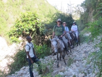The team headed up the mountain on mules