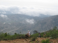 Riding a mule in the mountain