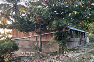 The water catchment system