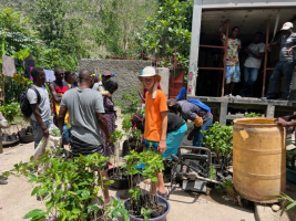Anodos with some of the plants being sent up to Janou