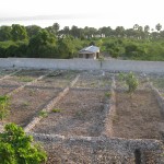 Our cleared back yard with garden beds ready
