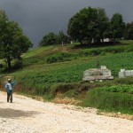 Vegetable field in the mountains