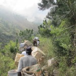 Mules carrying gift boxes up into the mountains