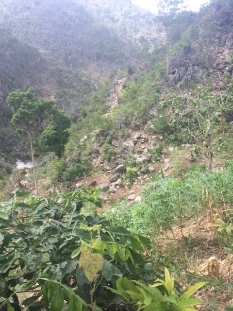 The Trail to Forgotten People