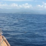 The mountains to explore